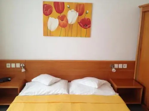 Hotel Apart Hotel - Général