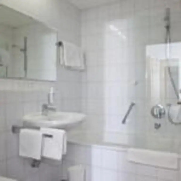 Businesshotel Rosenau - Général
