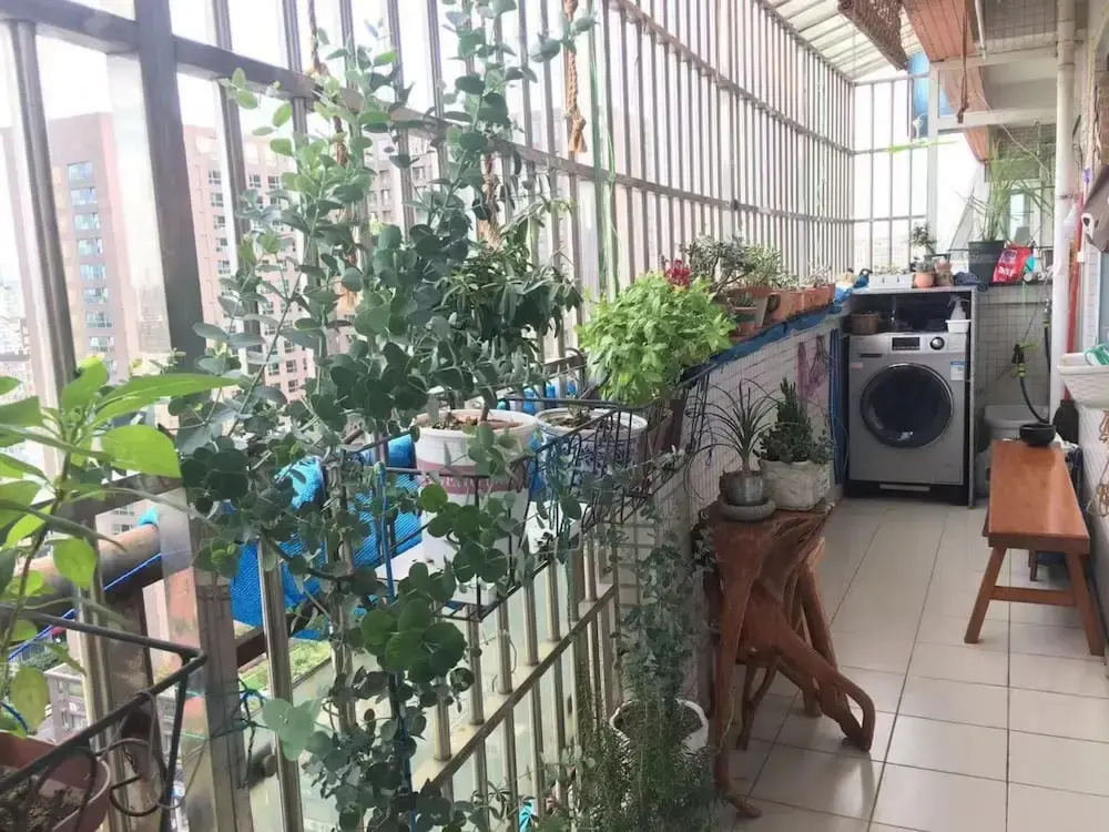 A House with Tea Fragrance