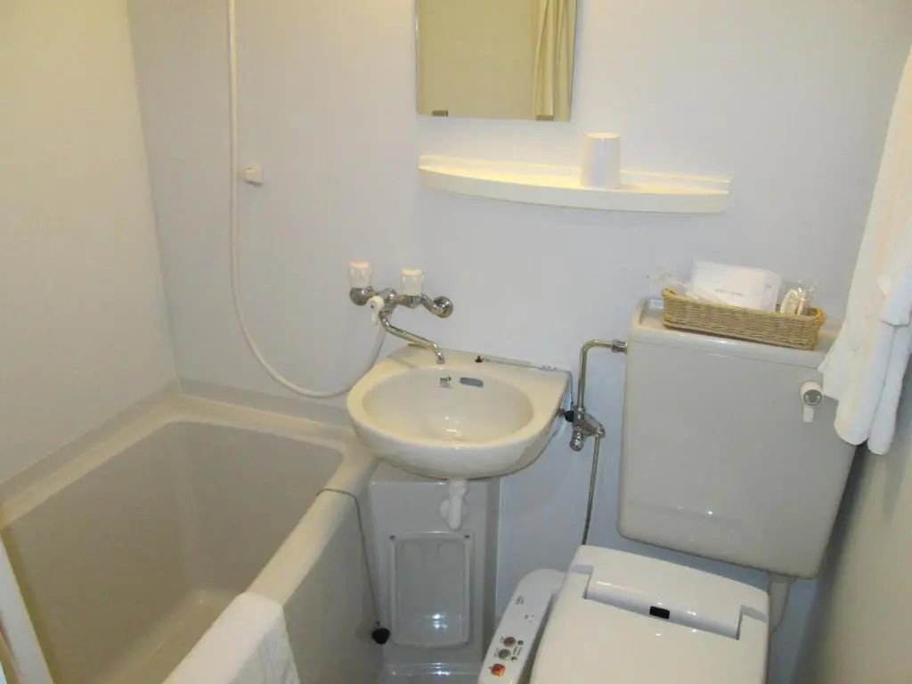 Okawa Riverside Hotel - Chambres