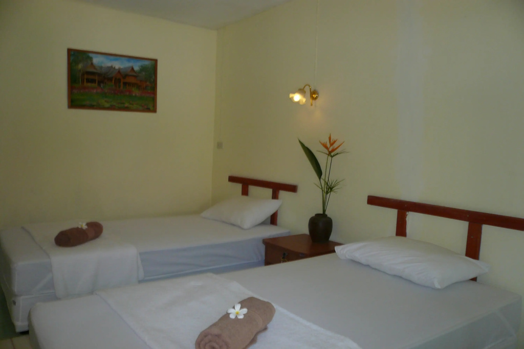 Standard Double room (twin beds)