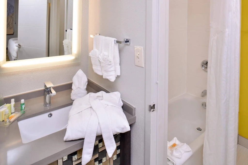 Holiday Inn Dallas-Richardson by IHG - Général