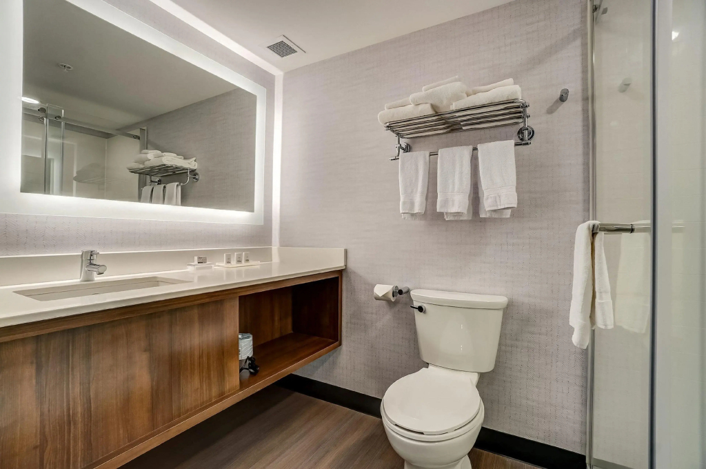 Holiday Inn Gatineau - Ottawa by IHG - фото 9