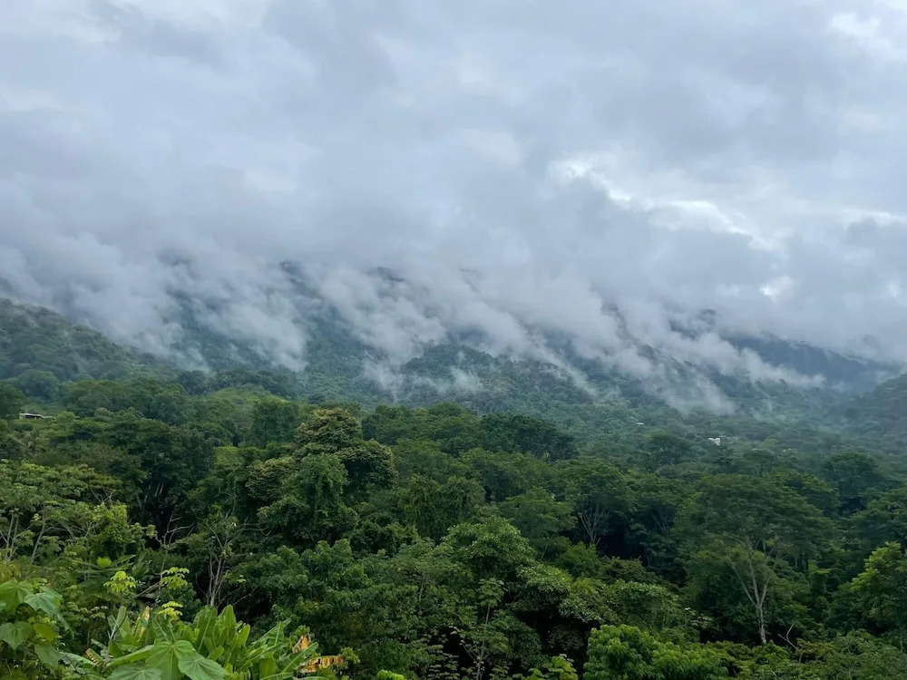 Unforgettable Stay - Book Brand New Villa Roca - фото 29