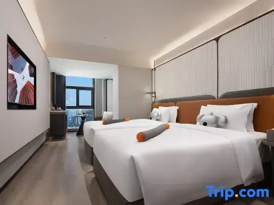 Standard Double room with city view (twin beds)