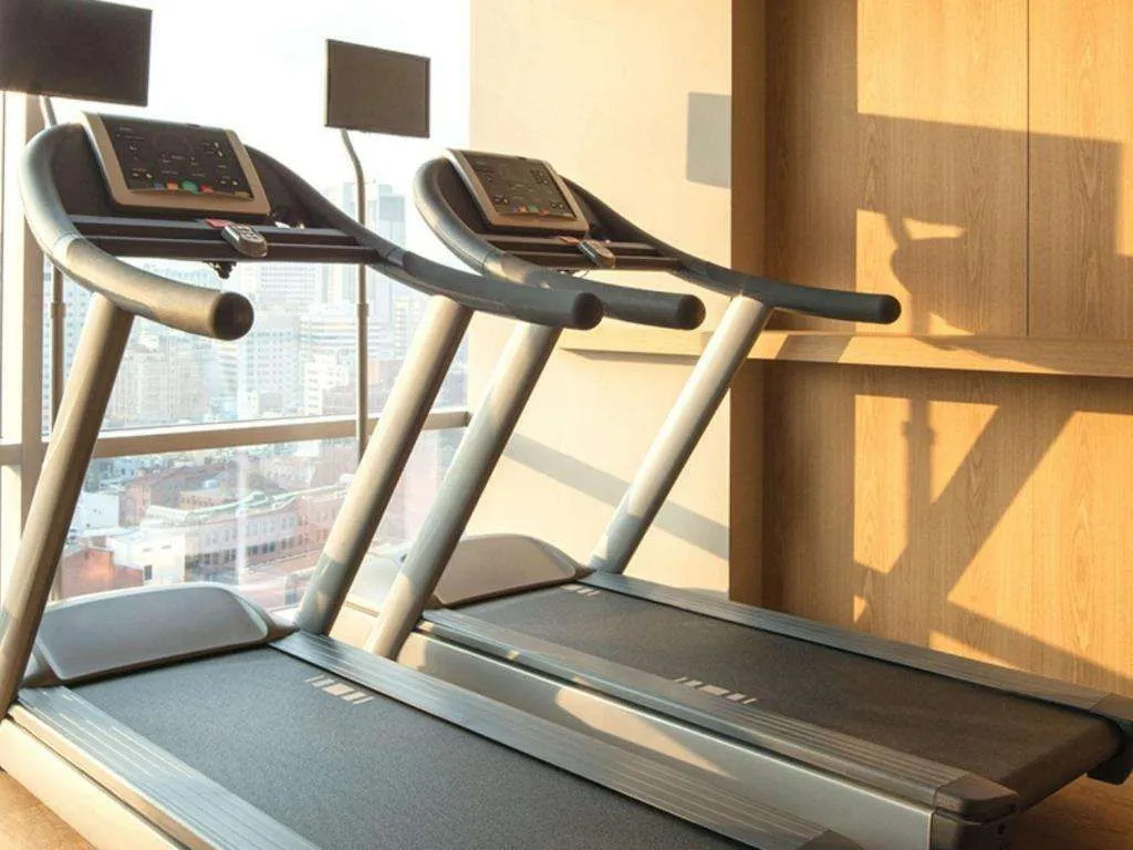 ibis Styles Ambassador Seoul Myeongdong - Général