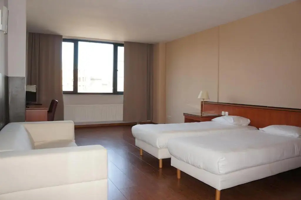 Standard Double room (twin beds)