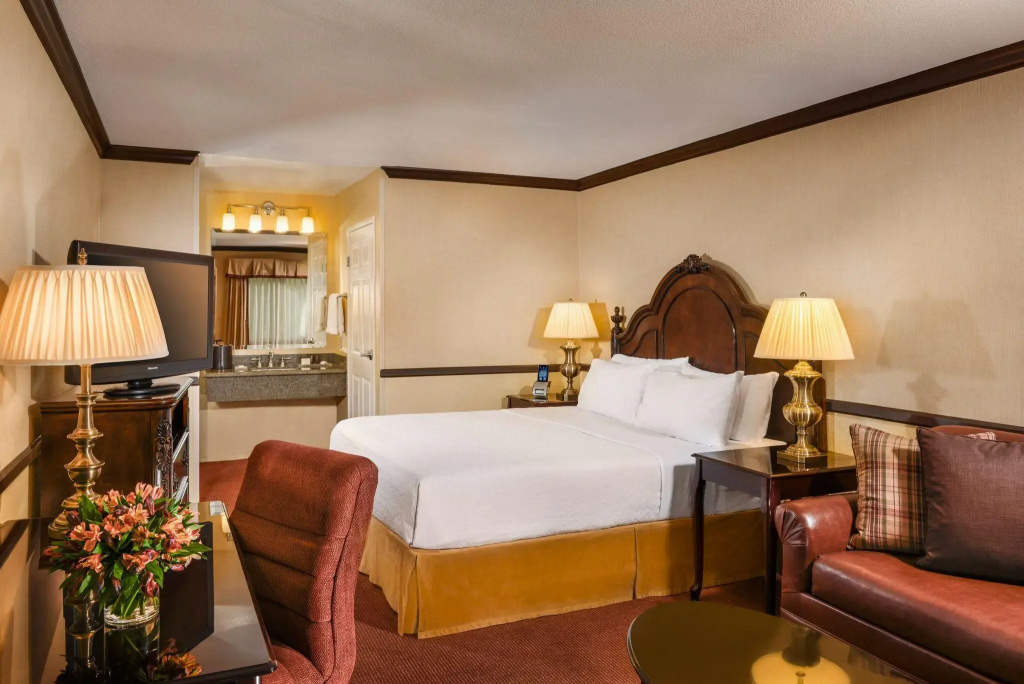 Standard Double room (full double bed)