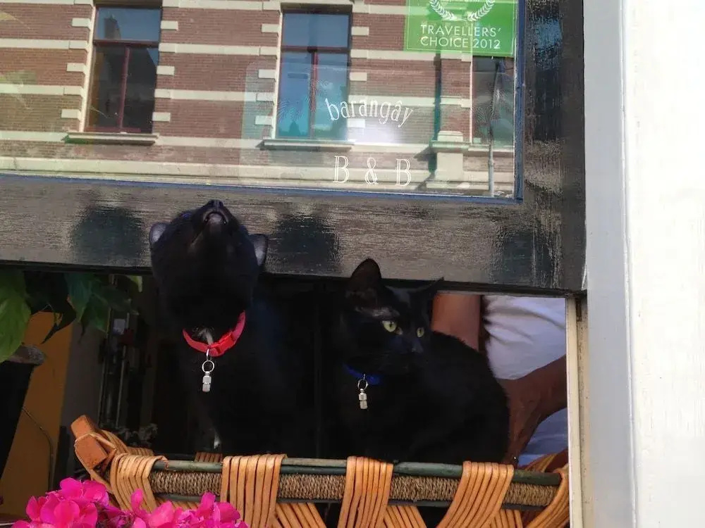 Amsterdam B&B Barangay