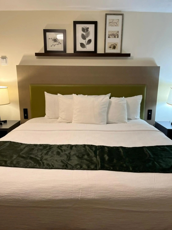 Pictured Rocks Inn & Suites - Général