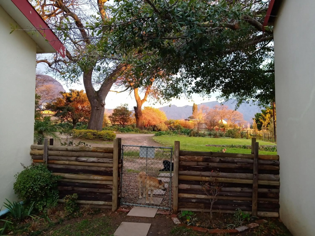 Olive and Vine Farm Cottage