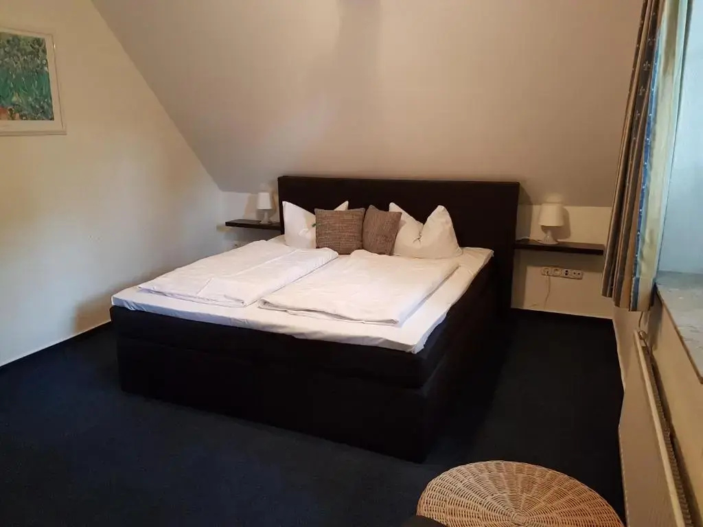 Standard Double room (full double bed)