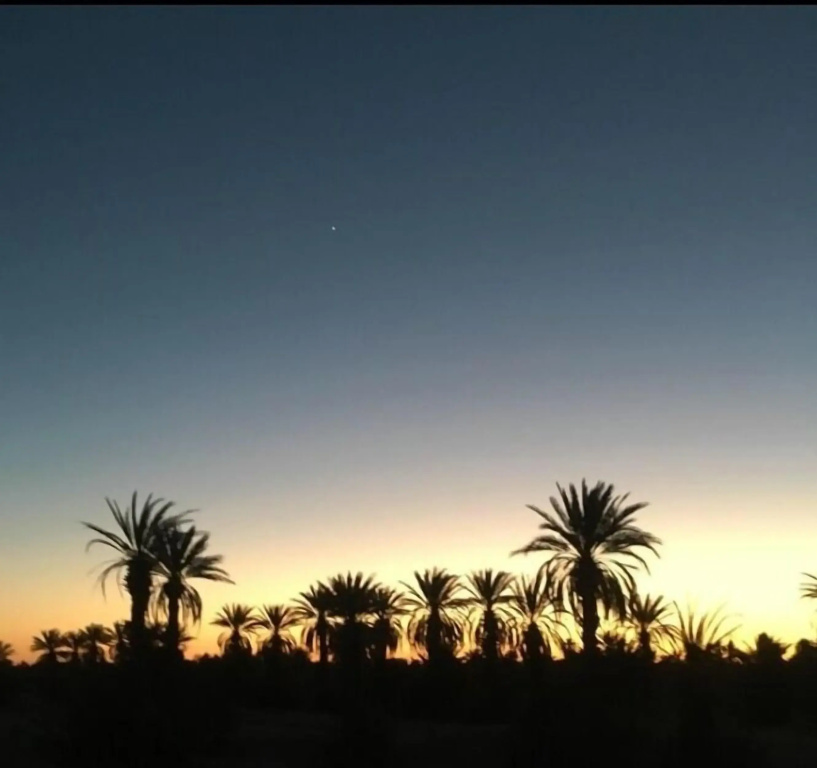 Auberge L'oasis Mhamid