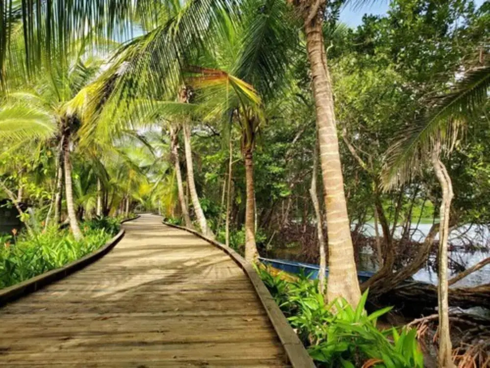Beach & Waterfront