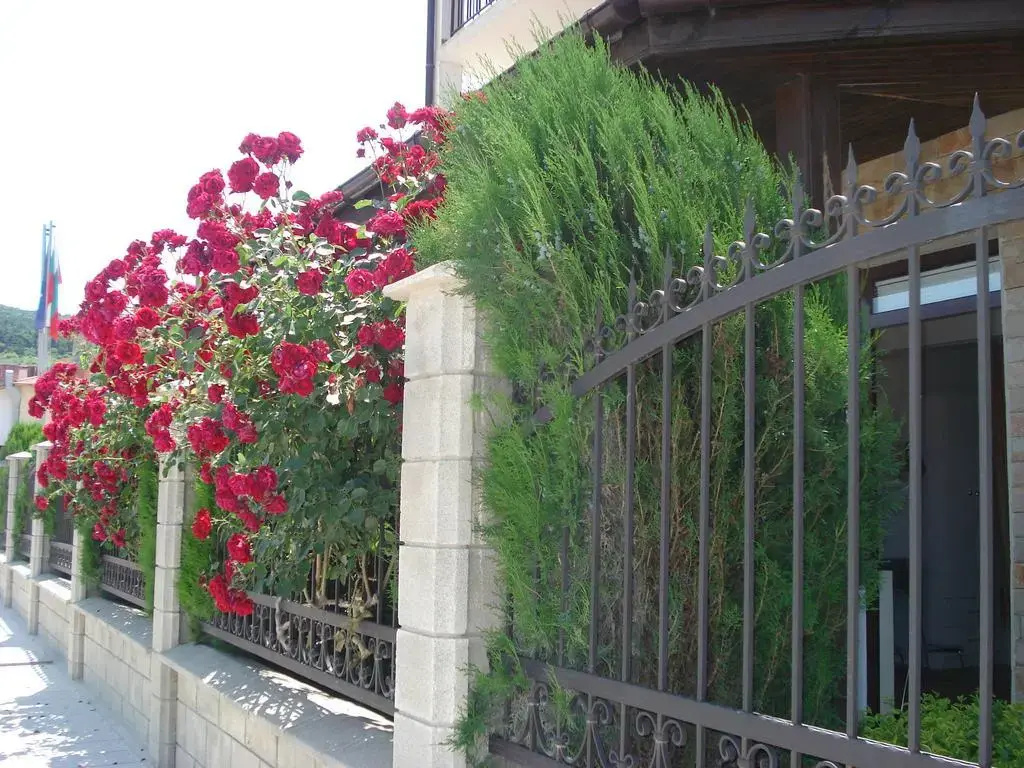 Villa Amfora