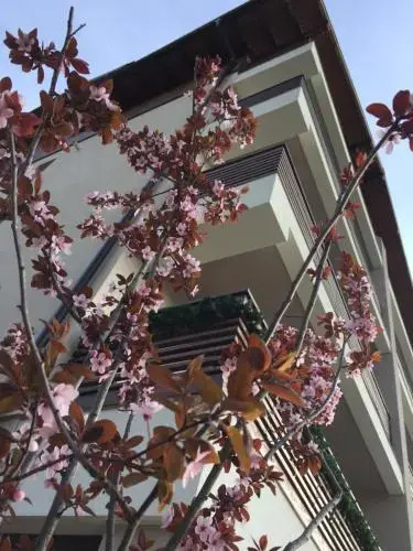 Villa-Garden Apart Predeal-Mountain view