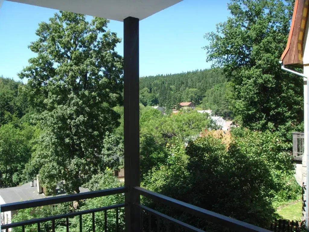Apartament Grześ