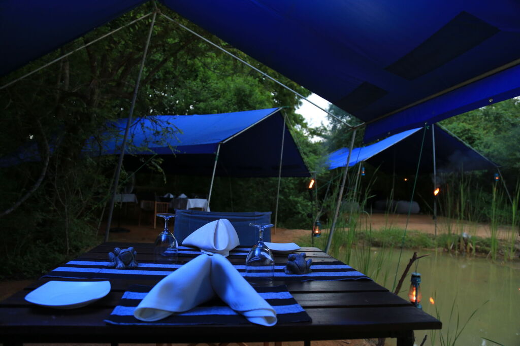 Mahoora Tented Safari Camp - Yala