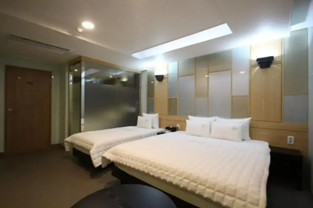 Premium Double room (twin beds)