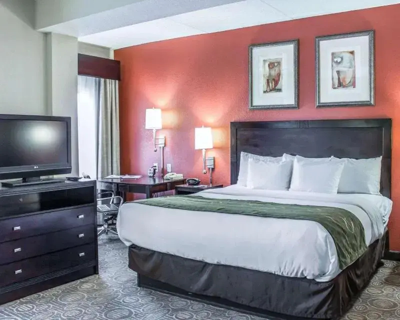 Comfort Suites Regency Park - Chambres