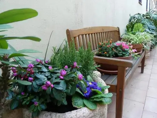 Hotel photo 21