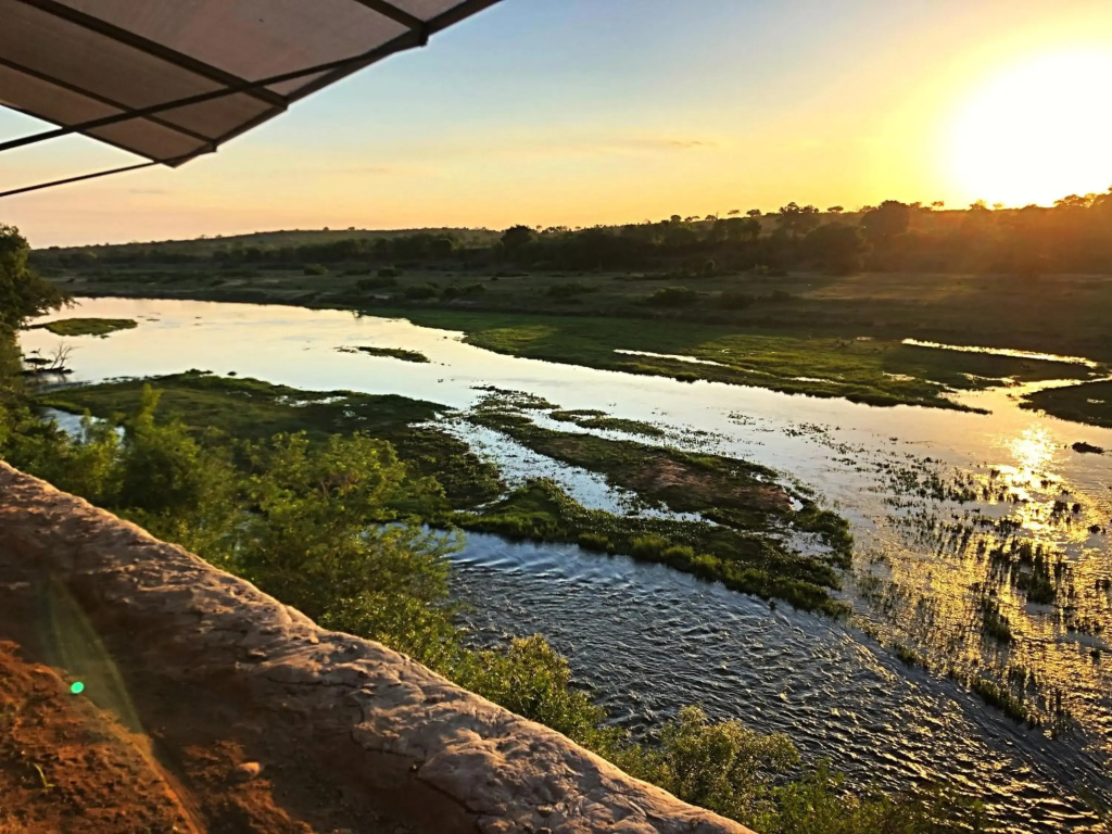 Lion Hill @Kruger