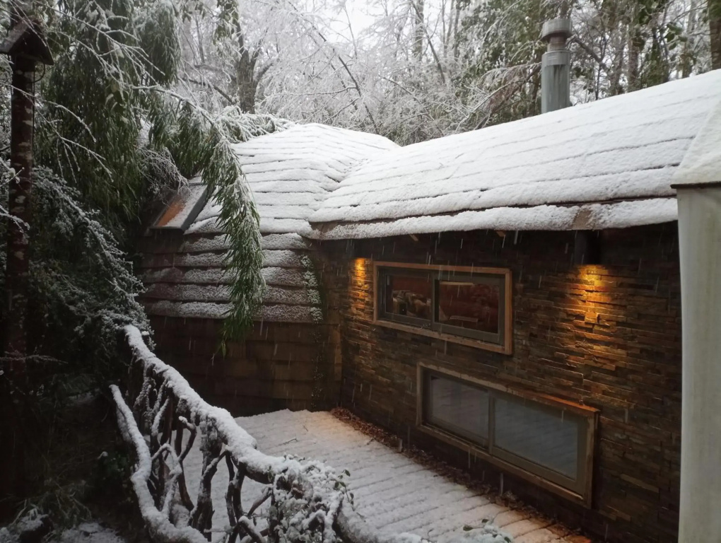 Domo Bosque Nativo Villarrica comuna