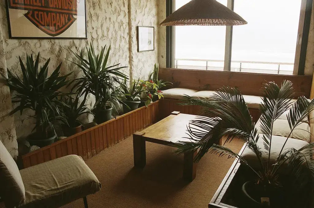 Afficher la photo 7 — Carlina Lodge