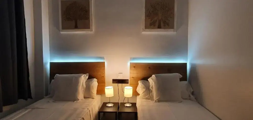 Standard Double room (twin beds)