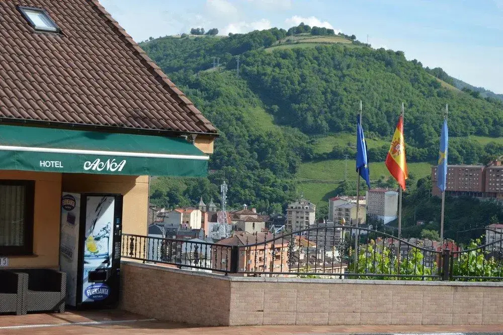 Hotel Alina - Général