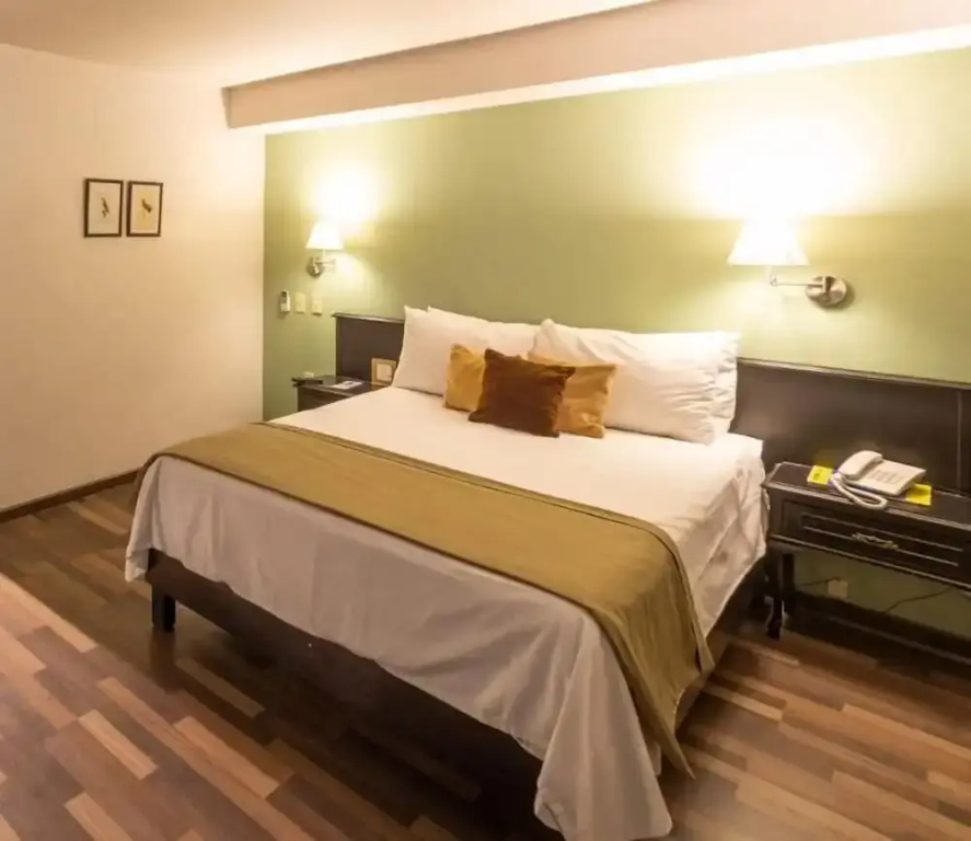1 Bedroom Junior Suite with city view