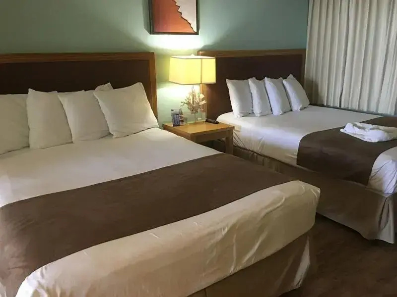 Standard Double room (twin beds)