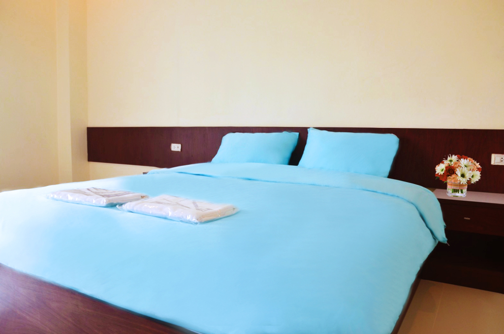 Двухместный номер Standard с видом на город двуспальная кровать в Volinta Park Apartment