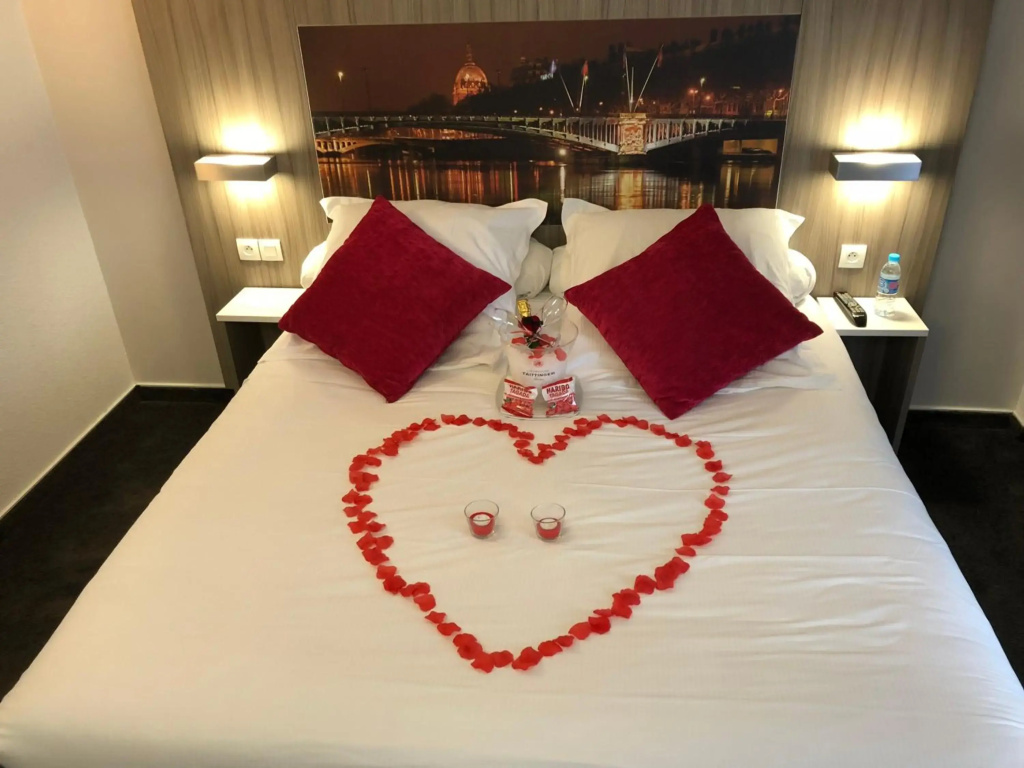 Ibis Styles Lyon Gorge de Loup Saphir - Général