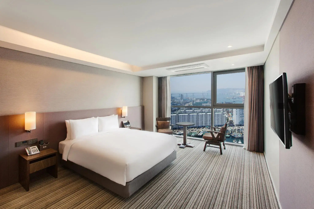 Deluxe Double room with city view (full double bed)