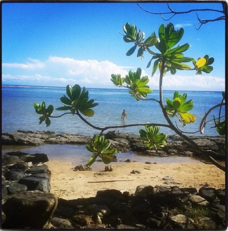 Beach & Waterfront
