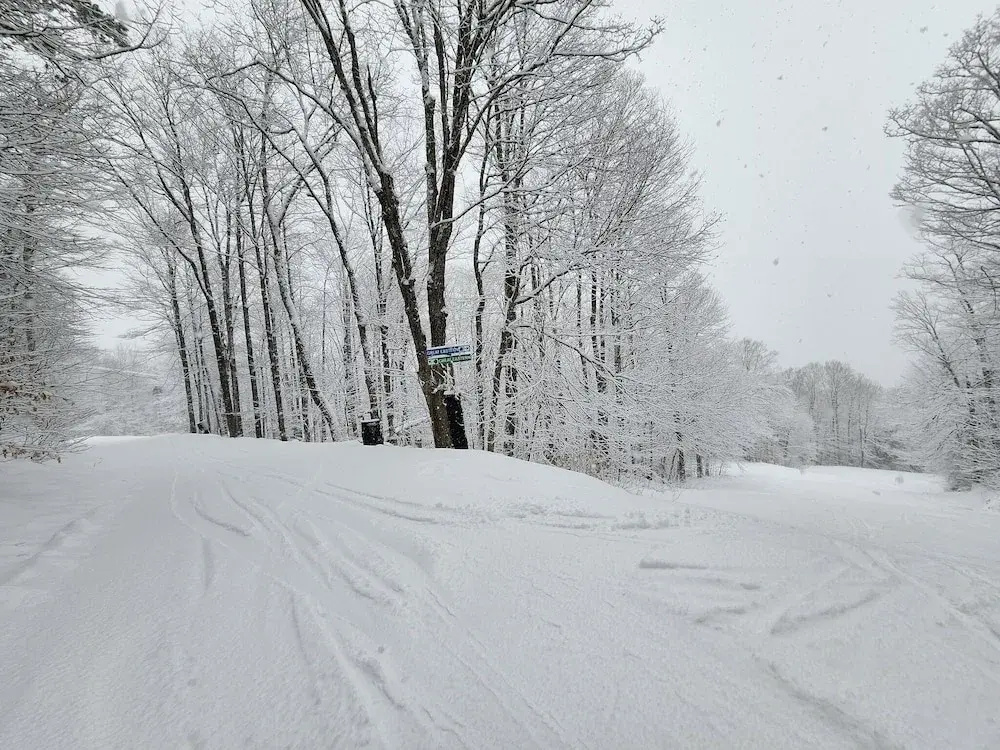 Ski in & out Spruce Glen Townhomes on Great Eastern Trail