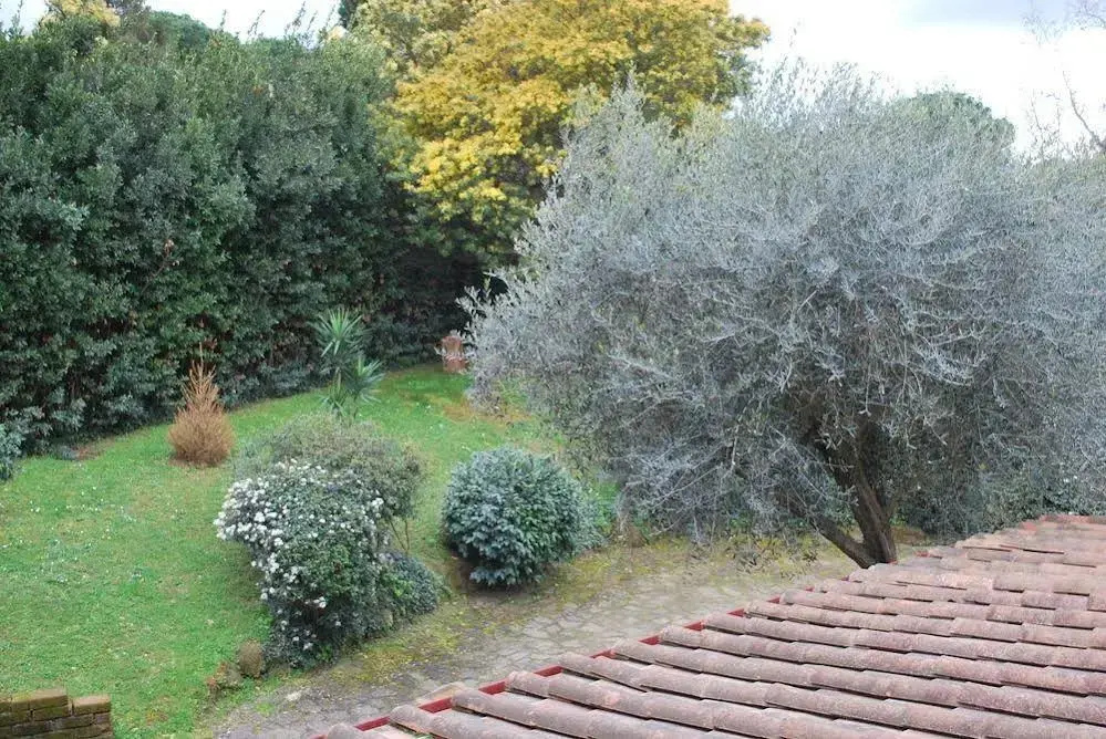 Residence Casale Mostacciano - Général