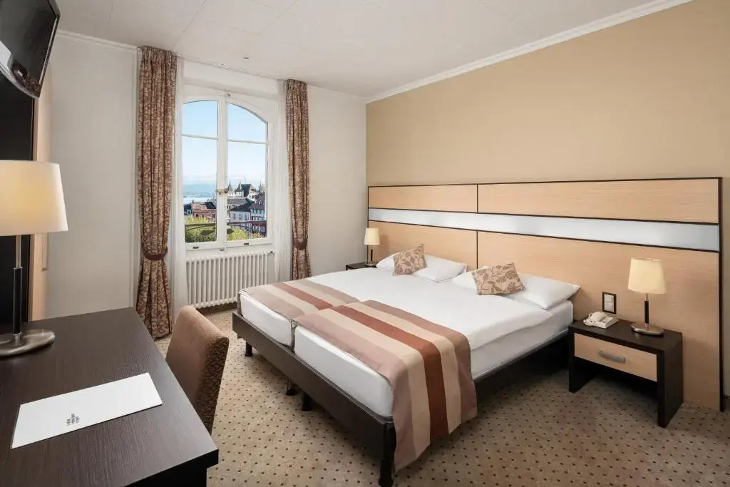 Standard Double room with lake view (full double bed)