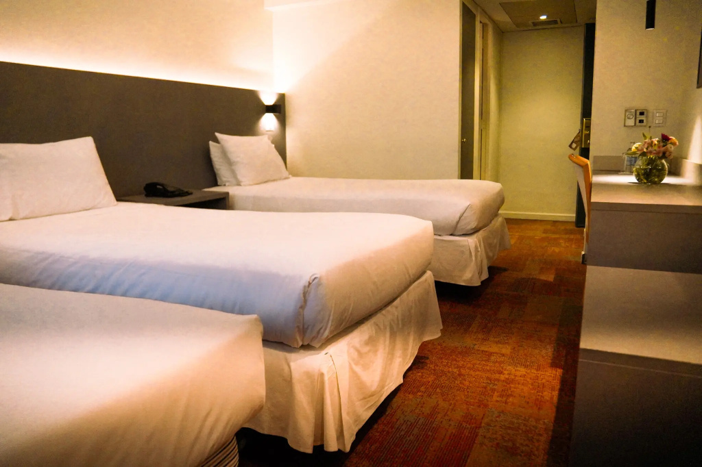 Hotel Torremayor Lyon - Général