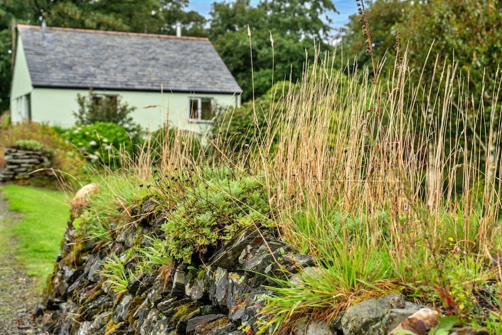 Studio in Cornwall Near Tintagel Castle
