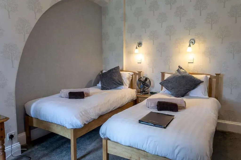 Standard Double room with mountain view (twin beds)
