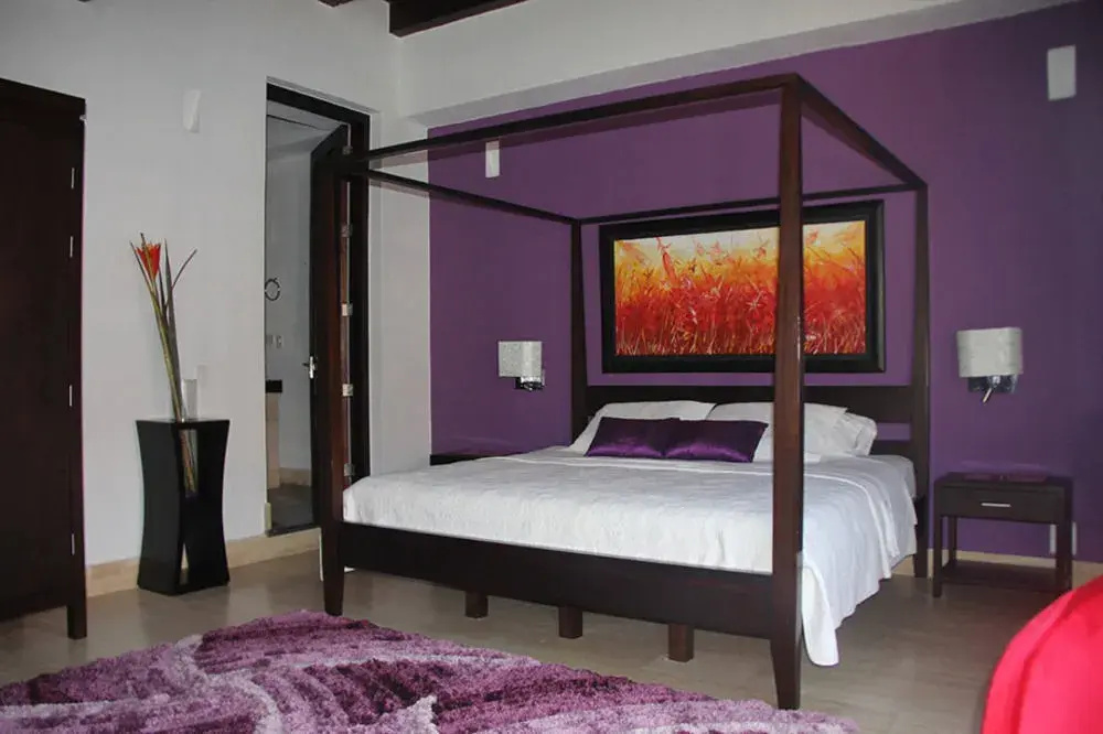 Hotel Casa Del Toro - Général