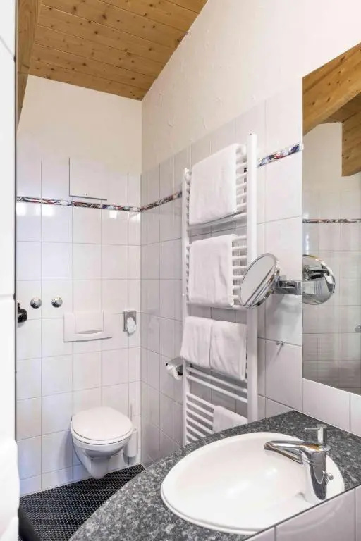 Appartement Hotel Seerose - Général