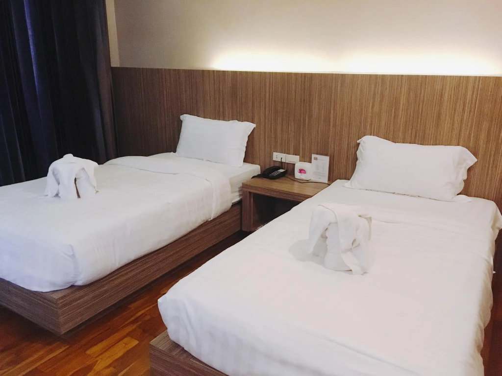 Superior Double room (twin beds)