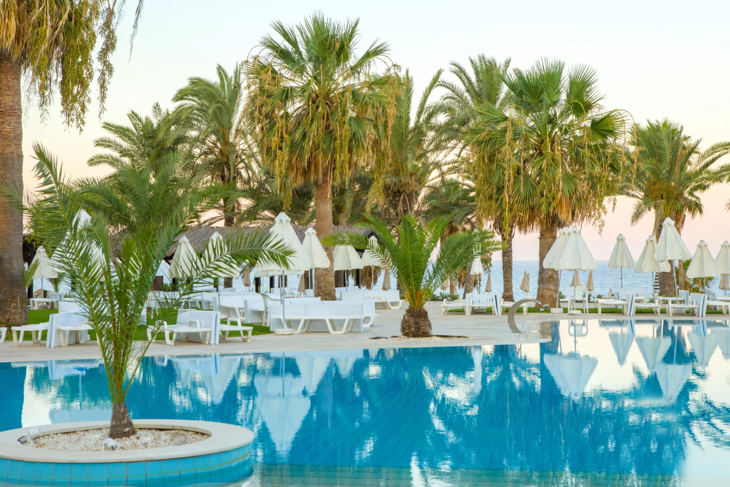Venus Beach Hotel - Général