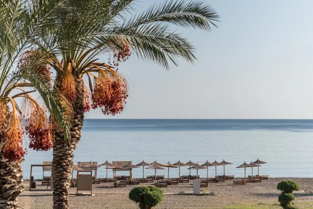Beach & Waterfront