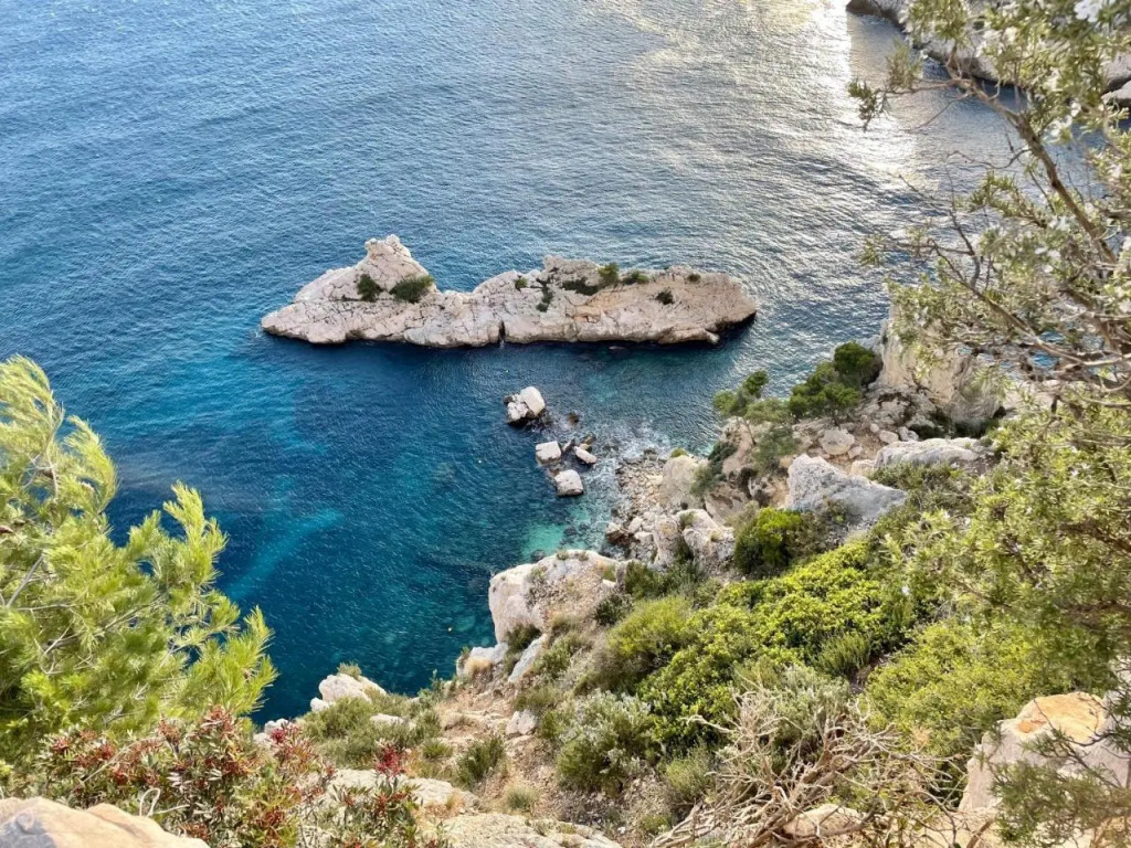 Image 7