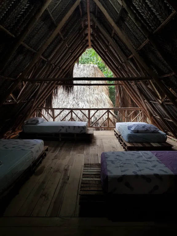 Bed in Dorm