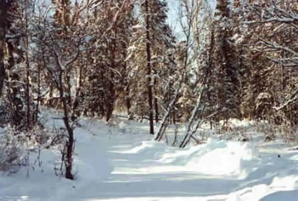 Daniels Lake Lodge B&B